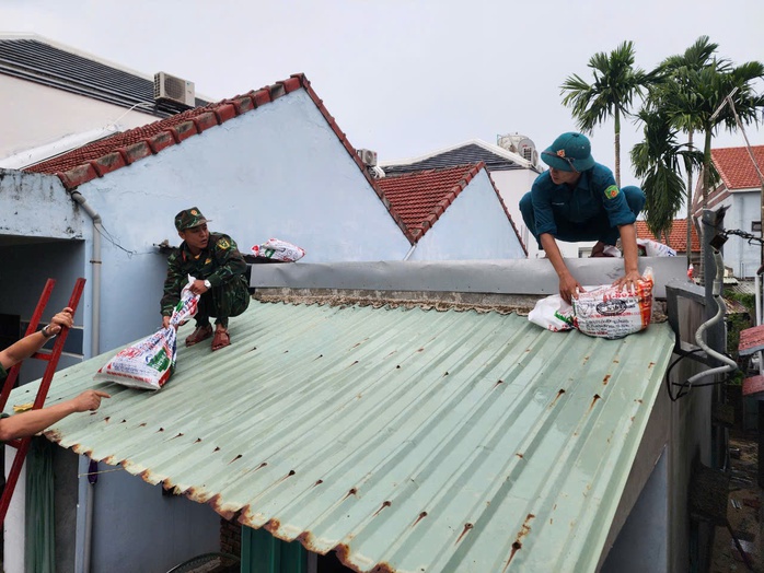 Đà Nẵng: Cấm đường lên bán đảo Sơn Trà từ 5 giờ chiều nay- Ảnh 5. Đà Nẵng: Cấm đường lên bán đảo Sơn Trà từ 5 giờ chiều nay- Ảnh 5.