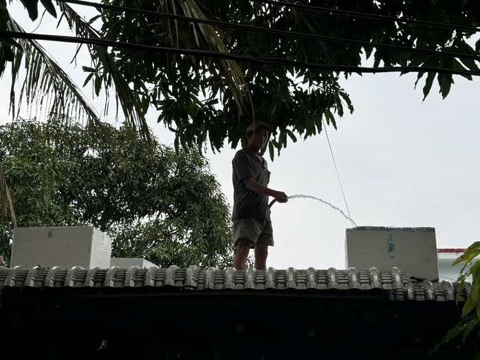 Đà Nẵng: Cấm đường lên bán đảo Sơn Trà từ 5 giờ chiều nay- Ảnh 7. Đà Nẵng: Cấm đường lên bán đảo Sơn Trà từ 5 giờ chiều nay- Ảnh 7.