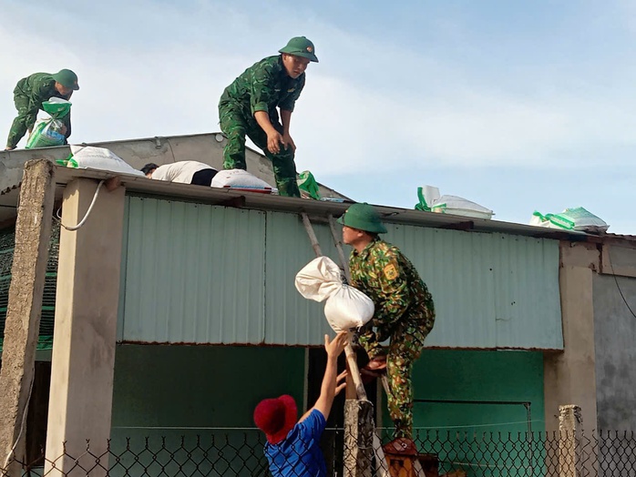 Đà Nẵng: Cấm đường lên bán đảo Sơn Trà từ 5 giờ chiều nay- Ảnh 15. Đà Nẵng: Cấm đường lên bán đảo Sơn Trà từ 5 giờ chiều nay- Ảnh 15.