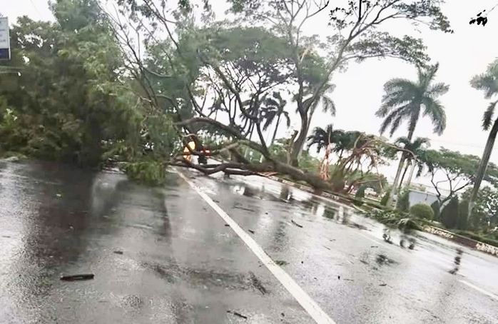 Nhiều cây xanh gãy đổ, kẹt xe nối dài hướng Vũng Tàu đi Bà Rịa- Ảnh 3. Nhiều cây xanh gãy đổ, kẹt xe nối dài hướng Vũng Tàu đi Bà Rịa- Ảnh 3.