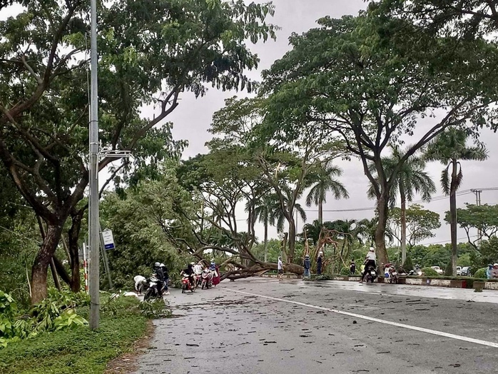 Nhiều cây xanh gãy đổ, kẹt xe nối dài hướng Vũng Tàu đi Bà Rịa- Ảnh 4. Nhiều cây xanh gãy đổ, kẹt xe nối dài hướng Vũng Tàu đi Bà Rịa- Ảnh 4.
