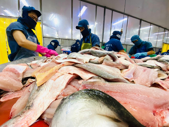 Đồng Tháp tổ chức Ngày hội Cá tra- Ảnh 1. Đồng Tháp tổ chức Ngày hội Cá tra- Ảnh 1.