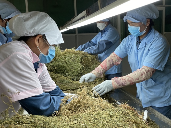 Loại bỏ thuốc y học cổ truyền từ động, thực vật nguy cơ tuyệt chủng- Ảnh 2. Loại bỏ thuốc y học cổ truyền từ động, thực vật nguy cơ tuyệt chủng- Ảnh 2.