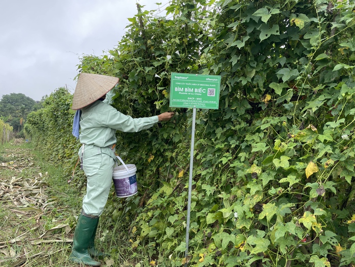 Loại bỏ thuốc y học cổ truyền từ động, thực vật nguy cơ tuyệt chủng- Ảnh 1. Loại bỏ thuốc y học cổ truyền từ động, thực vật nguy cơ tuyệt chủng- Ảnh 1.