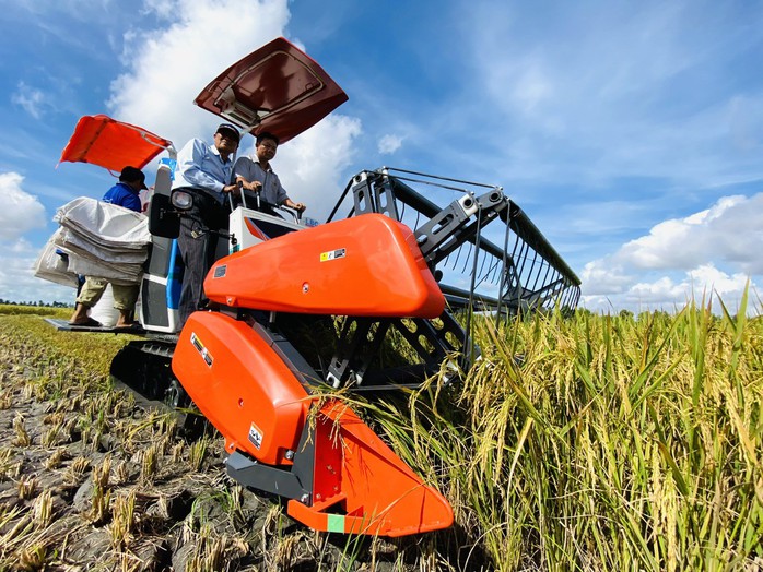 Đồng Tháp xác định hướng đi đúng trong tái cơ cấu ngành nông nghiệp- Ảnh 3. Đồng Tháp xác định hướng đi đúng trong tái cơ cấu ngành nông nghiệp- Ảnh 3.