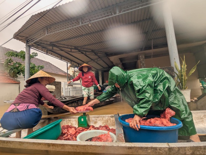 Mưa giảm nhưng nước rút chậm, người dân "rốn lũ" Lệ Thủy vẫn lo âu- Ảnh 5. Mưa giảm nhưng nước rút chậm, người dân "rốn lũ" Lệ Thủy vẫn lo âu- Ảnh 5.
