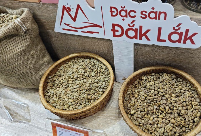 Sốc nặng với giá cà phê Robusta- Ảnh 1. Sốc nặng với giá cà phê Robusta- Ảnh 1.