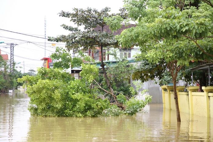Hình ảnh mới nhất về cuộc sống người dân ở "rốn lũ" Lệ Thủy- Ảnh 14. Hình ảnh mới nhất về cuộc sống người dân ở "rốn lũ" Lệ Thủy- Ảnh 14.