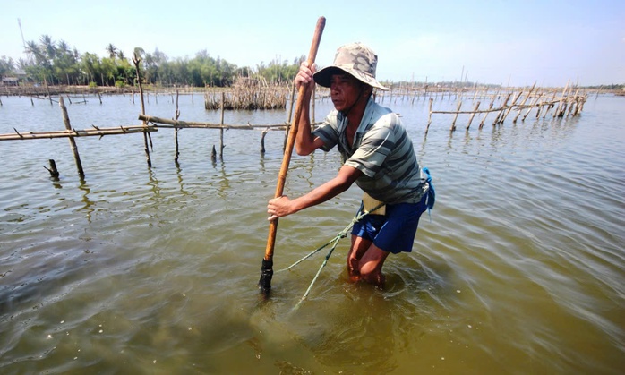 Trường Giang đã tạo sinh kế cho hàng ngàn người dân sống ven bờ từ bao đời nay Trường Giang đã tạo sinh kế cho hàng ngàn người dân sống ven bờ từ bao đời nay