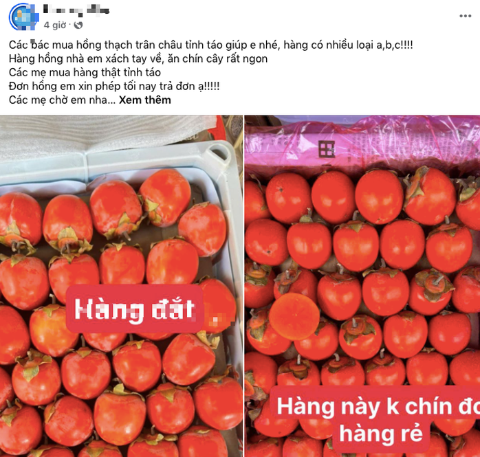 Trái hồng đỏ "rực lửa", quảng cáo xách tay từ Trung Quốc về bán tràn lan chợ online- Ảnh 1. Trái hồng đỏ "rực lửa", quảng cáo xách tay từ Trung Quốc về bán tràn lan chợ online- Ảnh 1.