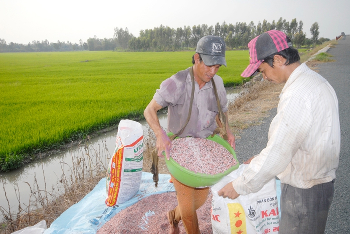 Giải bài toán phân bón ở ĐBSCL- Ảnh 2. Giải bài toán phân bón ở ĐBSCL- Ảnh 2.