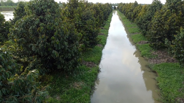 VIDEO: Người dân Cần Thơ tất bật chuẩn bị để sống chung với đỉnh lũ- Ảnh 8. VIDEO: Người dân Cần Thơ tất bật chuẩn bị để sống chung với đỉnh lũ- Ảnh 8.