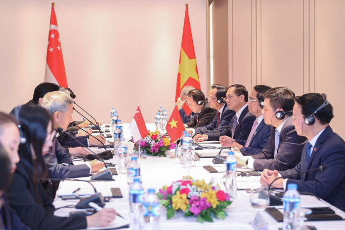 Thủ tướng Việt Nam - Singapore họp thường niên lần đầu tiên- Ảnh 3. Thủ tướng Việt Nam - Singapore họp thường niên lần đầu tiên- Ảnh 3.