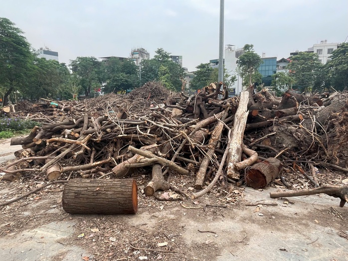 Công viên Tuổi Trẻ Thủ Đô hoang tàn, xuống cấp nghiêm trọng trước khi hạ rào- Ảnh 5. Công viên Tuổi Trẻ Thủ Đô hoang tàn, xuống cấp nghiêm trọng trước khi hạ rào- Ảnh 5.