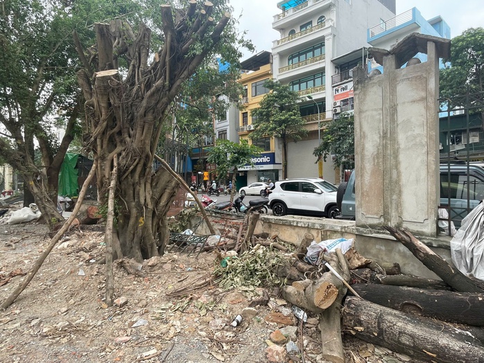 Công viên Tuổi Trẻ Thủ Đô hoang tàn, xuống cấp nghiêm trọng trước khi hạ rào- Ảnh 3. Công viên Tuổi Trẻ Thủ Đô hoang tàn, xuống cấp nghiêm trọng trước khi hạ rào- Ảnh 3.