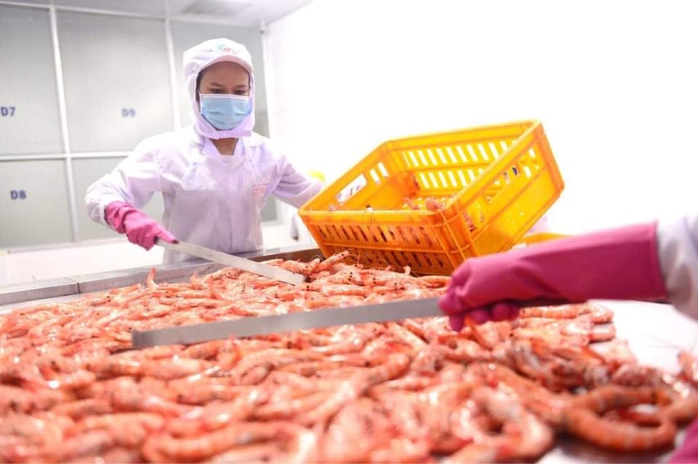 Để bảo hiểm thất nghiệp thêm sức hút- Ảnh 1. Để bảo hiểm thất nghiệp thêm sức hút- Ảnh 1.
