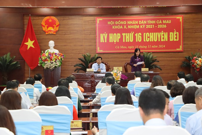 Cà Mau có Chủ tịch UBND tỉnh mới- Ảnh 1. Cà Mau có Chủ tịch UBND tỉnh mới- Ảnh 1.