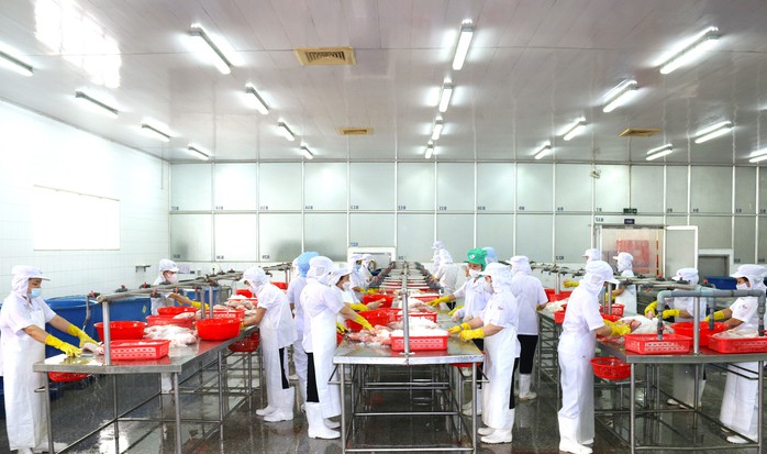 3 quyền lợi của người lao động đóng BHXH dưới 20 năm- Ảnh 2. 3 quyền lợi của người lao động đóng BHXH dưới 20 năm- Ảnh 2.