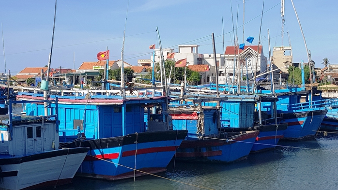 Phú Yên “ra tối hậu thư” với tàu cá “3 không”- Ảnh 1. Phú Yên “ra tối hậu thư” với tàu cá “3 không”- Ảnh 1.