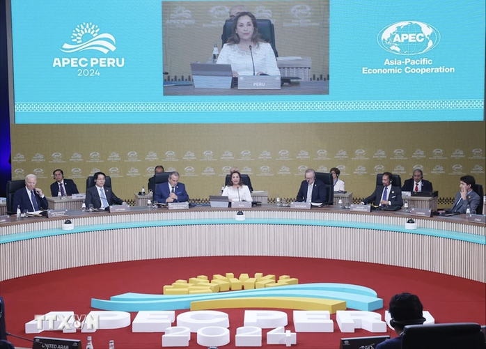 Chủ tịch nước Lương Cường dự Đối thoại giữa các nhà lãnh đạo APEC- Ảnh 5.