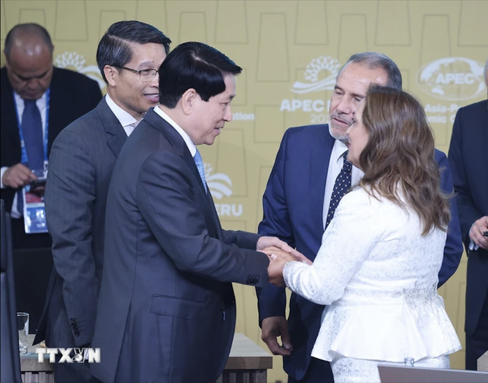 Chủ tịch nước Lương Cường dự Đối thoại giữa các nhà lãnh đạo APEC- Ảnh 7.