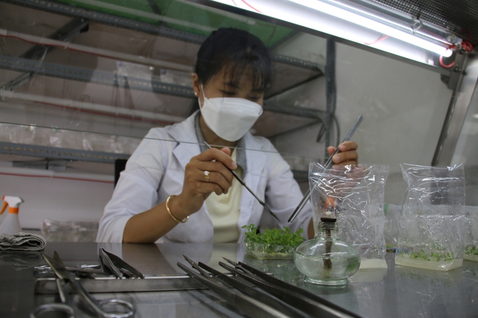 ĐBSCL thúc đẩy khởi nghiệp- Ảnh 1. ĐBSCL thúc đẩy khởi nghiệp- Ảnh 1.