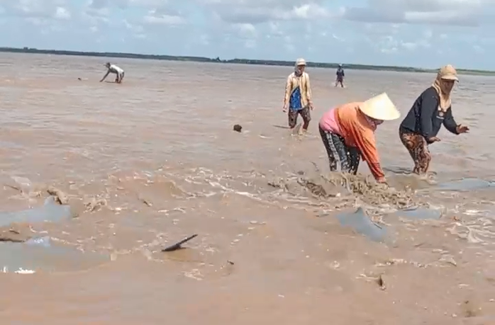 CLIP: Ngư dân Bạc Liêu hợp sức giải cứu đàn cá heo mắc cạn - Ảnh 1. CLIP: Ngư dân Bạc Liêu hợp sức giải cứu đàn cá heo mắc cạn - Ảnh 1.