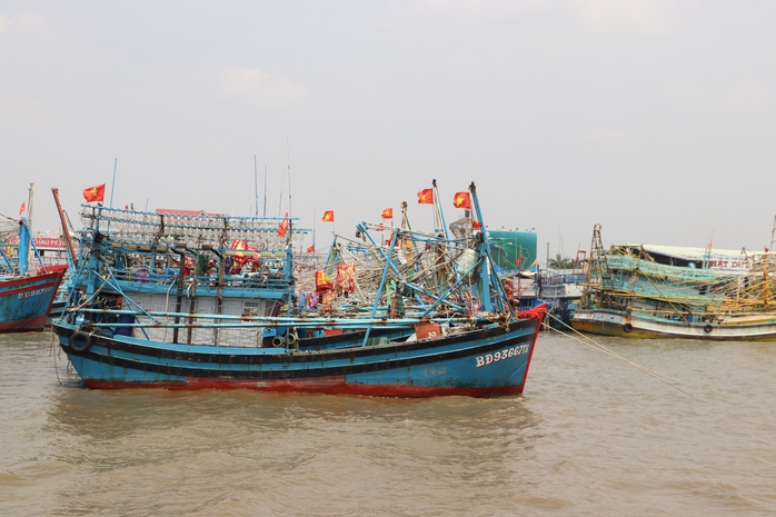 CLIP: Diều "khổng lồ" tung bay tại thị trấn biển lớn nhất ĐBSCL- Ảnh 11. CLIP: Diều "khổng lồ" tung bay tại thị trấn biển lớn nhất ĐBSCL- Ảnh 11.