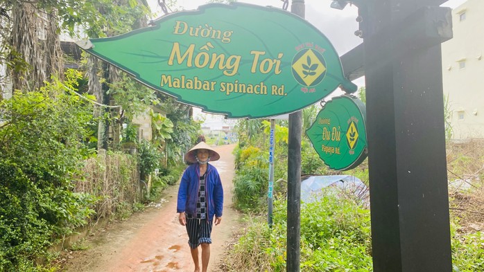 Có gì hấp dẫn ở Trà Quế (Quảng Nam) - làng du lịch tốt nhất thế giới?- Ảnh 14. Có gì hấp dẫn ở Trà Quế (Quảng Nam) - làng du lịch tốt nhất thế giới?- Ảnh 14.