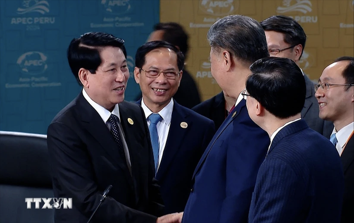 Chủ tịch nước Lương Cường gặp Tổng Bí thư, Chủ tịch Trung Quốc, Tổng thống Mỹ- Ảnh 1.