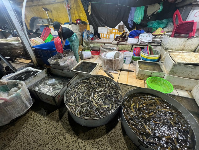 Chủ tịch Hà Nội yêu cầu xác minh thông tin "chợ La Khê trái phép 10 năm không ai biết"- Ảnh 6. Chủ tịch Hà Nội yêu cầu xác minh thông tin "chợ La Khê trái phép 10 năm không ai biết"- Ảnh 6.