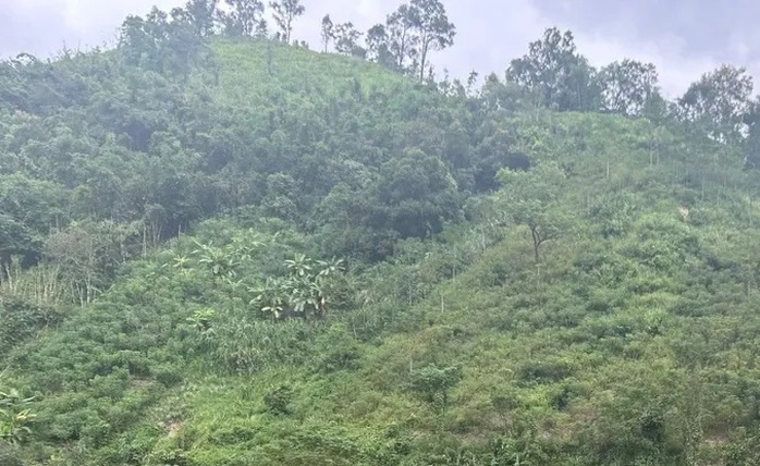 Nghi ngờ tiểu bậy vào chai nước, người đàn ông bị đánh nhập viện- Ảnh 1. Nghi ngờ tiểu bậy vào chai nước, người đàn ông bị đánh nhập viện- Ảnh 1.