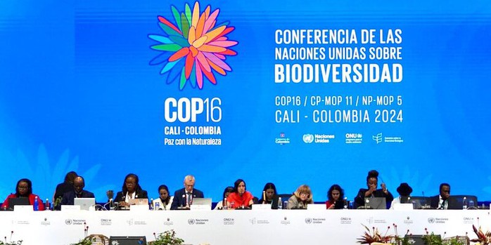 COP16 kêu gọi cấp thiết hành động để “hòa bình với thiên nhiên”- Ảnh 1. COP16 kêu gọi cấp thiết hành động để “hòa bình với thiên nhiên”- Ảnh 1.