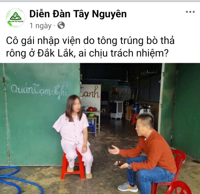 Phân định trách nhiệm vụ cô gái 26 tuổi bị bò tông trúng- Ảnh 1. Phân định trách nhiệm vụ cô gái 26 tuổi bị bò tông trúng- Ảnh 1.