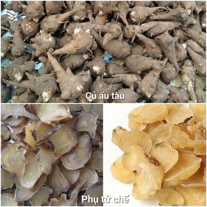 Ăn củ ấu tàu để tăng sức khoẻ, người đàn ông ngất xỉu- Ảnh 2. Ăn củ ấu tàu để tăng sức khoẻ, người đàn ông ngất xỉu- Ảnh 2.