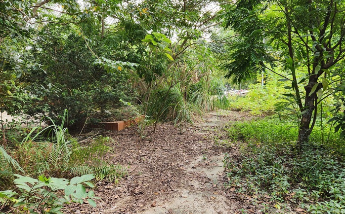 Phòng khám bỏ hoang trên khu "đất vàng" hơn 8.000 m2 ở TP Thanh Hóa- Ảnh 10. Phòng khám bỏ hoang trên khu "đất vàng" hơn 8.000 m2 ở TP Thanh Hóa- Ảnh 10.