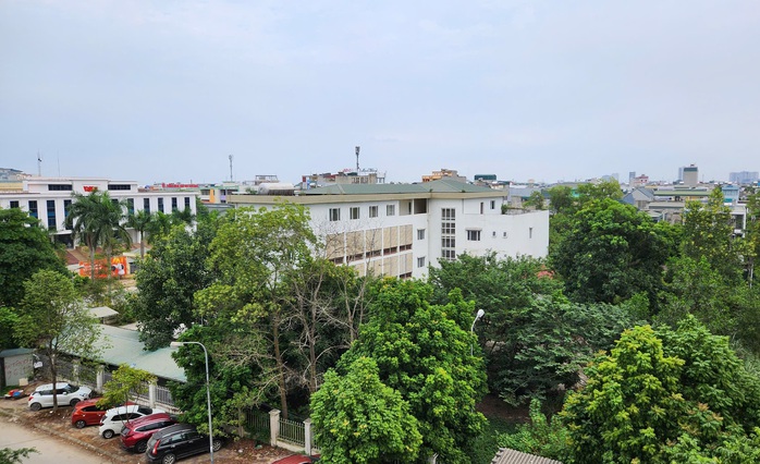 Phòng khám bỏ hoang trên khu "đất vàng" hơn 8.000 m2 ở TP Thanh Hóa- Ảnh 4. Phòng khám bỏ hoang trên khu "đất vàng" hơn 8.000 m2 ở TP Thanh Hóa- Ảnh 4.