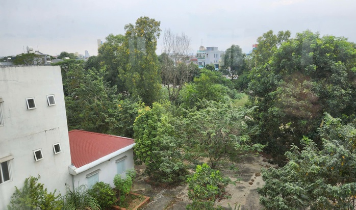 Phòng khám bỏ hoang trên khu "đất vàng" hơn 8.000 m2 ở TP Thanh Hóa- Ảnh 16. Phòng khám bỏ hoang trên khu "đất vàng" hơn 8.000 m2 ở TP Thanh Hóa- Ảnh 16.