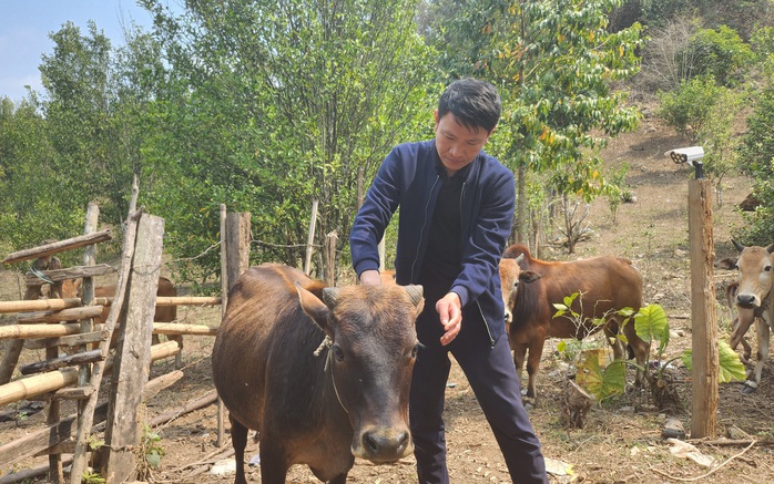 Nỗ lực để Mường Lát thoát nghèo: Gần hơn với miền xuôi- Ảnh 2. Nỗ lực để Mường Lát thoát nghèo: Gần hơn với miền xuôi- Ảnh 2.