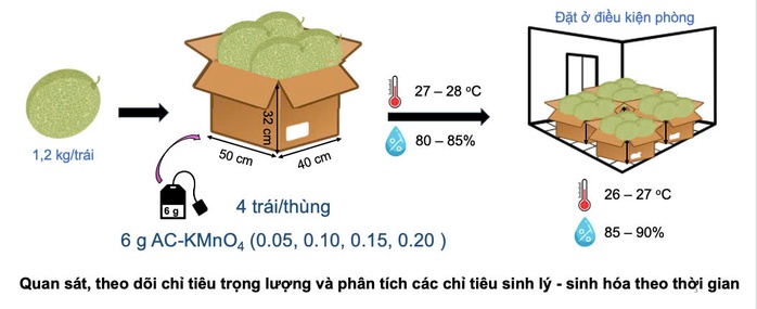Bất ngờ với những nghiên cứu công nghệ chế biến và bảo quản của sinh viên- Ảnh 2. Bất ngờ với những nghiên cứu công nghệ chế biến và bảo quản của sinh viên- Ảnh 2.