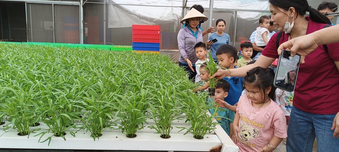 Nông dân TP HCM phát triển du lịch- Ảnh 1. Nông dân TP HCM phát triển du lịch- Ảnh 1.