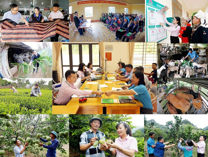 Nâng cao hiệu quả của tín dụng chính sách xã hội trong giai đoạn mới- Ảnh 2. Nâng cao hiệu quả của tín dụng chính sách xã hội trong giai đoạn mới- Ảnh 2.