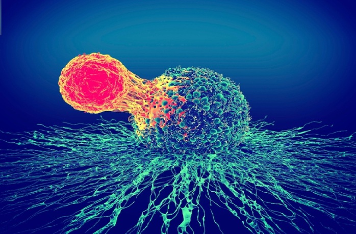 Thí nghiệm đột phá: Virus gây bệnh COVID-19 có thể làm co nhỏ khối u ung thư ?- Ảnh 1. Thí nghiệm đột phá: Virus gây bệnh COVID-19 có thể làm co nhỏ khối u ung thư ?- Ảnh 1.