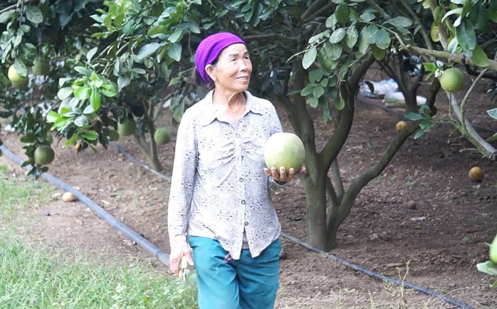 Quả ngọt trên vùng đất cằn- Ảnh 2. Quả ngọt trên vùng đất cằn- Ảnh 2.
