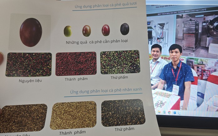Bất ngờ với “nhân vật” lựa cà phê của 1 doanh nghiệp ở TP HCM- Ảnh 1. Bất ngờ với “nhân vật” lựa cà phê của 1 doanh nghiệp ở TP HCM- Ảnh 1.