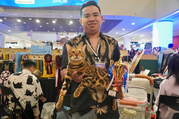VIDEO: Người Việt Nam đầu tiên thắng giải tại Giải vô địch mèo toàn cầu- Ảnh 5. VIDEO: Người Việt Nam đầu tiên thắng giải tại Giải vô địch mèo toàn cầu- Ảnh 5.