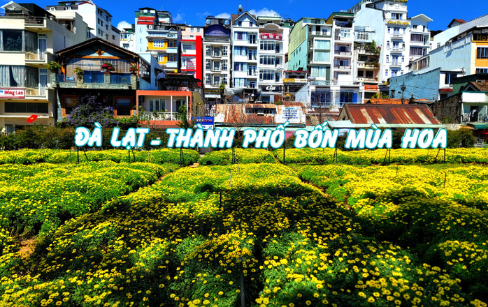 Festival hoa Đà Lạt hướng tới quy mô quốc gia, quốc tế- Ảnh 2. Festival hoa Đà Lạt hướng tới quy mô quốc gia, quốc tế- Ảnh 2.