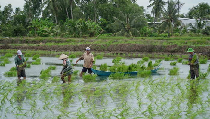 Nuôi trồng thuận theo tự nhiên- Ảnh 1. Nuôi trồng thuận theo tự nhiên- Ảnh 1.