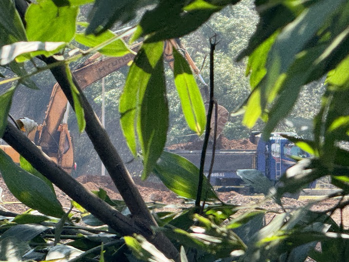 Yêu cầu nhà thầu làm rõ vụ trộm đất trên đường vành đai ngàn tỉ ở Đà Nẵng- Ảnh 2. Yêu cầu nhà thầu làm rõ vụ trộm đất trên đường vành đai ngàn tỉ ở Đà Nẵng- Ảnh 2.