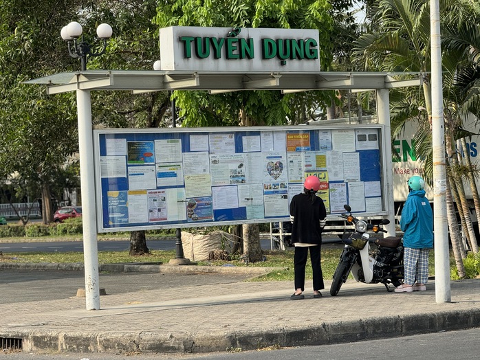 TP HCM: Doanh nghiệp ráo riết tuyển dụng lao động cuối năm- Ảnh 4. TP HCM: Doanh nghiệp ráo riết tuyển dụng lao động cuối năm- Ảnh 4.
